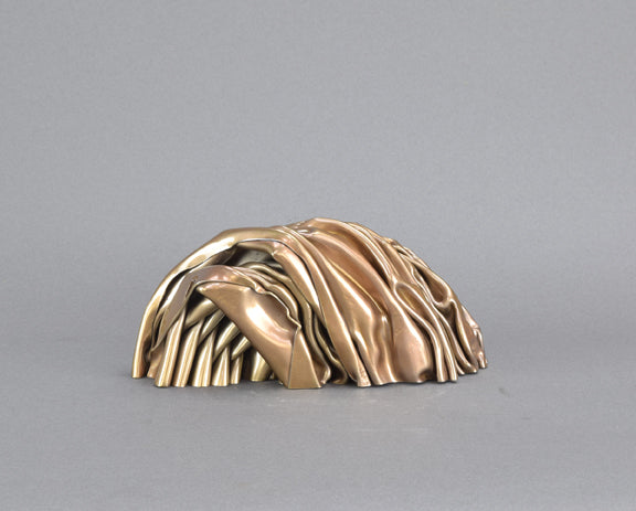 Stainless Scholar by Bret Price